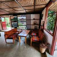 คาเฟ่วังเวียง : พูม่าย