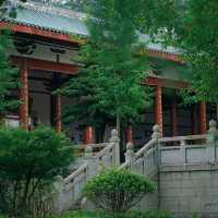 靈光寺：靜謐之境⛩️✨