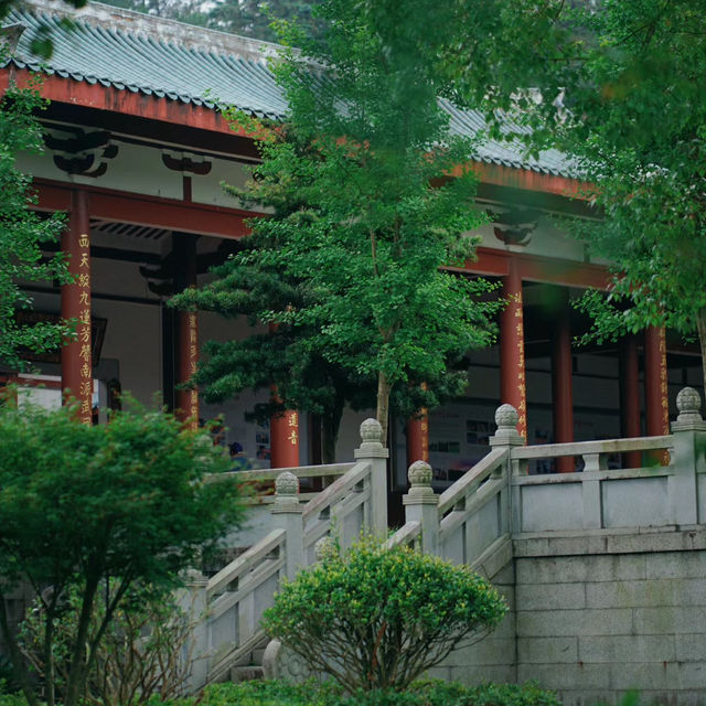 靈光寺：靜謐之境⛩️✨