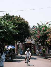 🇻🇳峴港旅行·充滿鮮花和明豔黃牆的會安古城