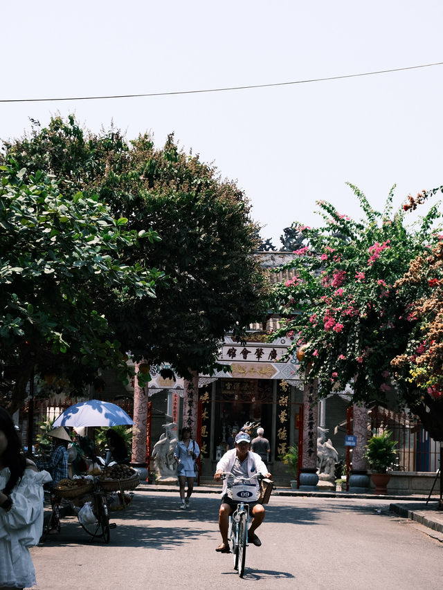 🇻🇳峴港旅行·充滿鮮花和明豔黃牆的會安古城