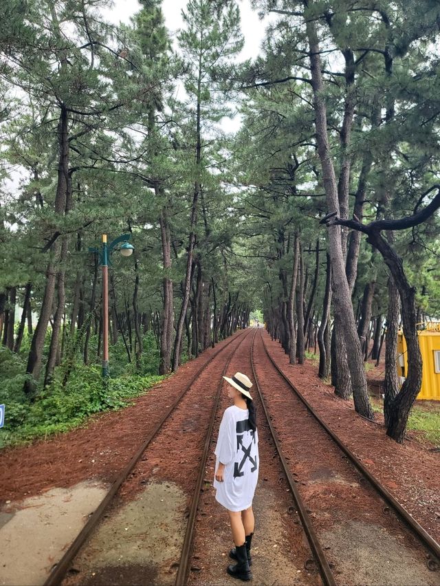 해변레일바이크를 탈수 있는 원평해수욕장🩵