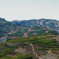  綠岳：秋色登山的夢幻🍂🏔️