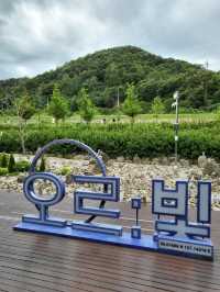 연천에서 꼭 가봐야할 아름다운 재인폭포