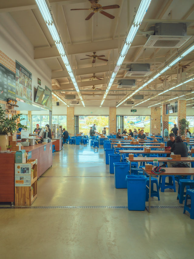 연천 핫플 가장 인기있는 비빔국수 “망향비빔국수 본점”