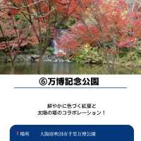 【保存必須!!】2024 大阪の紅葉スポット