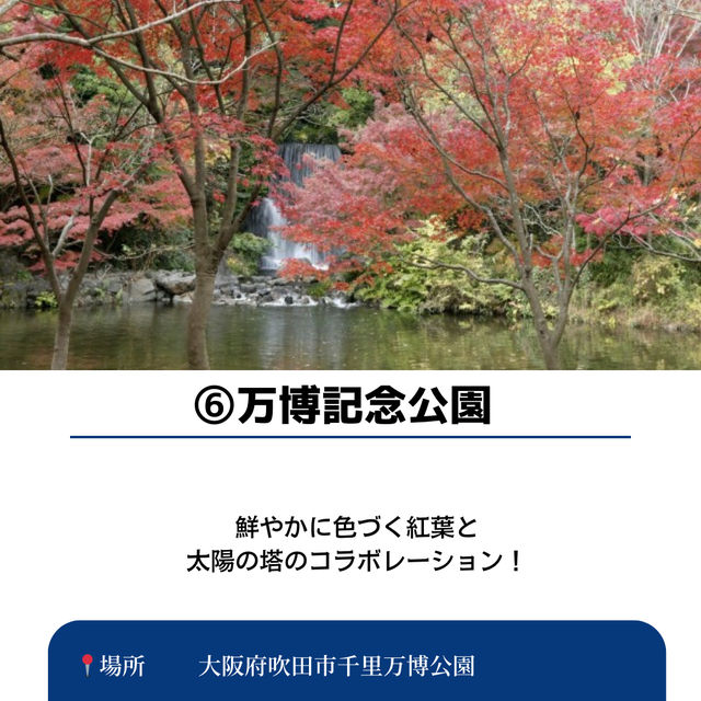 【保存必須!!】2024 大阪の紅葉スポット