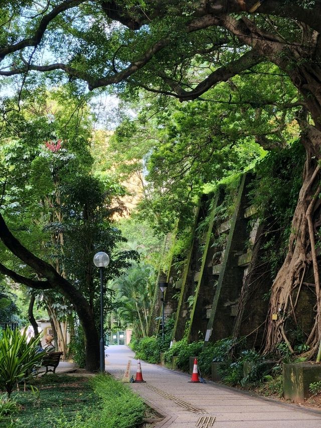 홍콩 도심에서 홍학을 만날 수 있는 구룡공원(kowloon park)