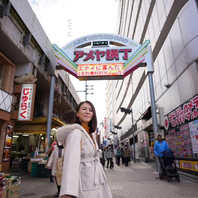 เดินเที่ยวหาของกินที่ ตลาด Ameyoko อุเอะโนะ