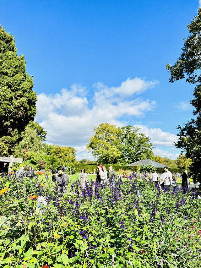 🇬🇧 倫敦最大的皇室公園