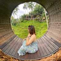 Wonderful Visit to Alas Harum Bali