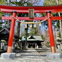 【山梨県】美しい白い毛並みの「旺輝」が可愛い