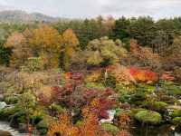🇯🇵富士山河口湖🗻規模最誇張的一泊二食旅館 🍁