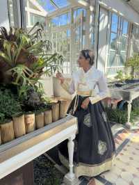 How to get to historic palaces in Seoul for free