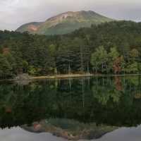 【北海道】摩周国立公園オンネトーが映し出す光景