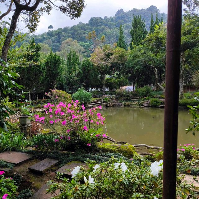 สถานีเกษตรหลวงอินทนนท์ สวนพรรณพืชดอกไม้สวยๆ