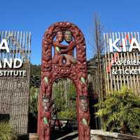 【ニュージーランド】マオリ族のショーがみれる激アツスポット🇳🇿