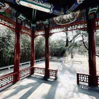 來北京中山公園賞春花美景～醉遊人