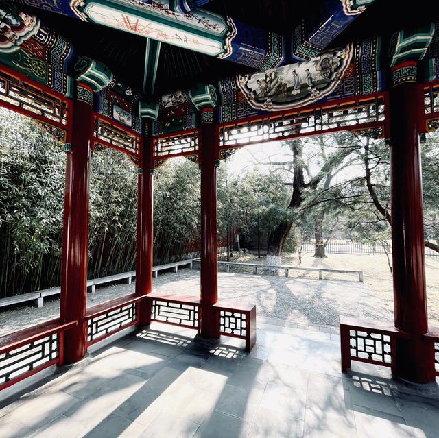 來北京中山公園賞春花美景～醉遊人