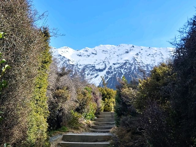庫克山與黃金大草原