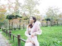 Alishan