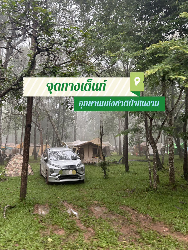 ⛺️จุดกางเต็นท์ทุ่งดอกกระเจียว💜