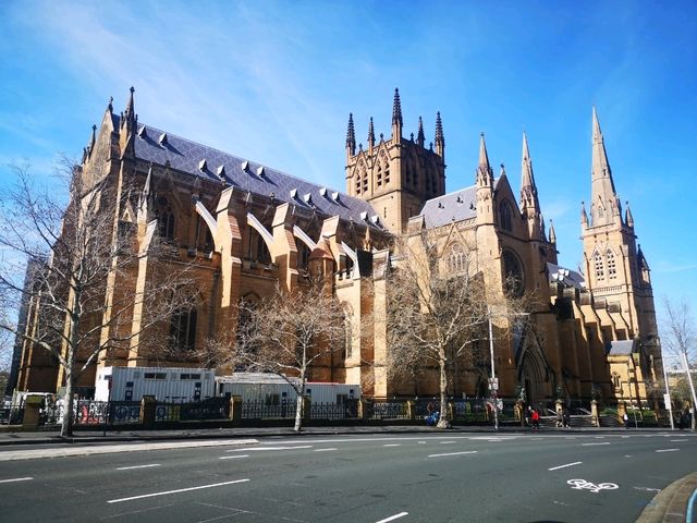 Trip to sydney