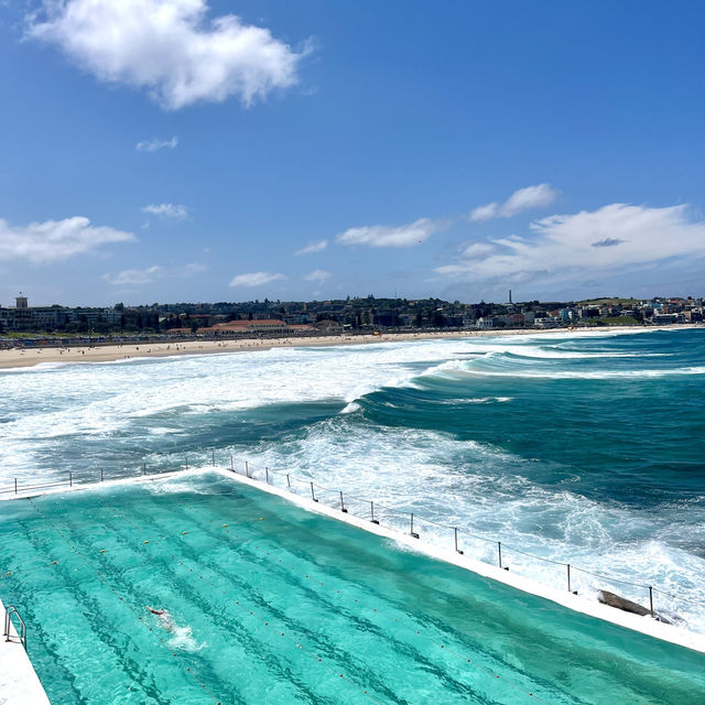 🏖️☀️ Chill at Bondi Beach! 