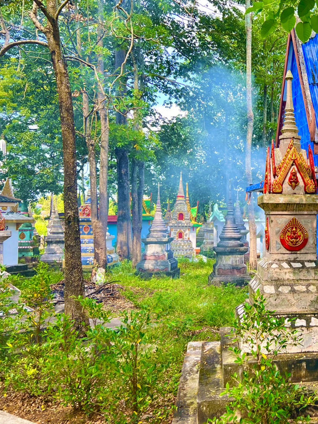 ป่าช้าคาเฟ่