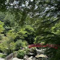 【岐阜観光】マイナスイオンで癒しの旅へ🩵