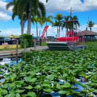 VISITING THE EVERGLADES NATIONAL PARK.