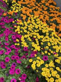 🧡낭만적인 가을, 오색빛깔 자연의 만추 풍경을 볼 수 있는 🍁가을여행추천 🍁