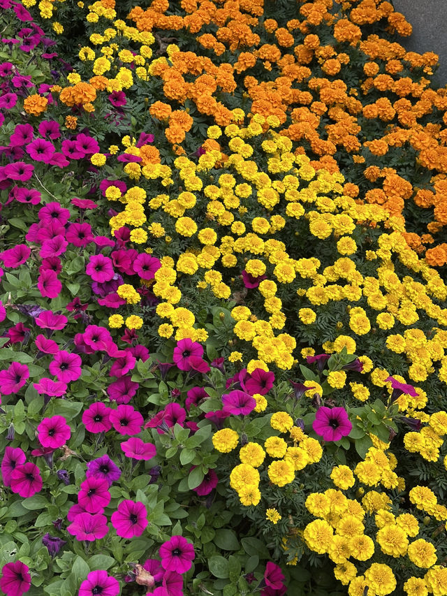 🧡낭만적인 가을, 오색빛깔 자연의 만추 풍경을 볼 수 있는 🍁가을여행추천 🍁