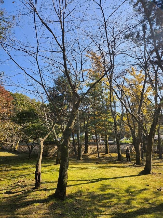 유네스코 등재된 문화유산을 볼 수 있는 김포 장릉♥️