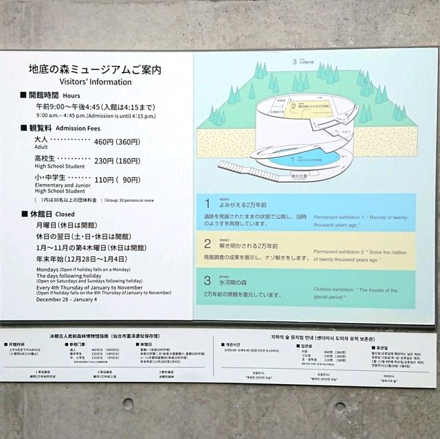仙台景點｜全世界唯一可見冰河時期森林遺蹟博物館—地底之森博物館(仙台市富澤遺跡保存館)