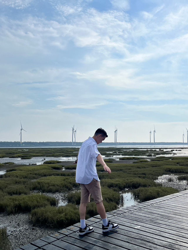 《高美濕地》：簡單又夢幻的自然生態