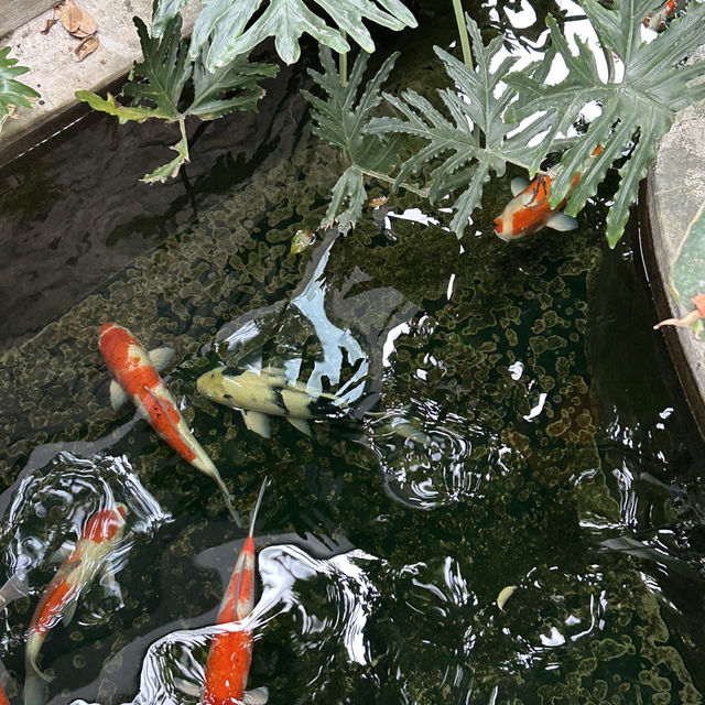 寧靜優雅的民宿