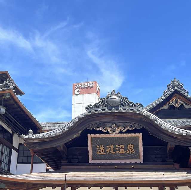 센과치히로의 모티브된 일본의소도시 마쓰야마🇯🇵 온천여행은 여기
