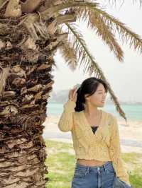 제주의 야자수를 느낄 수 있는 해변 🌴