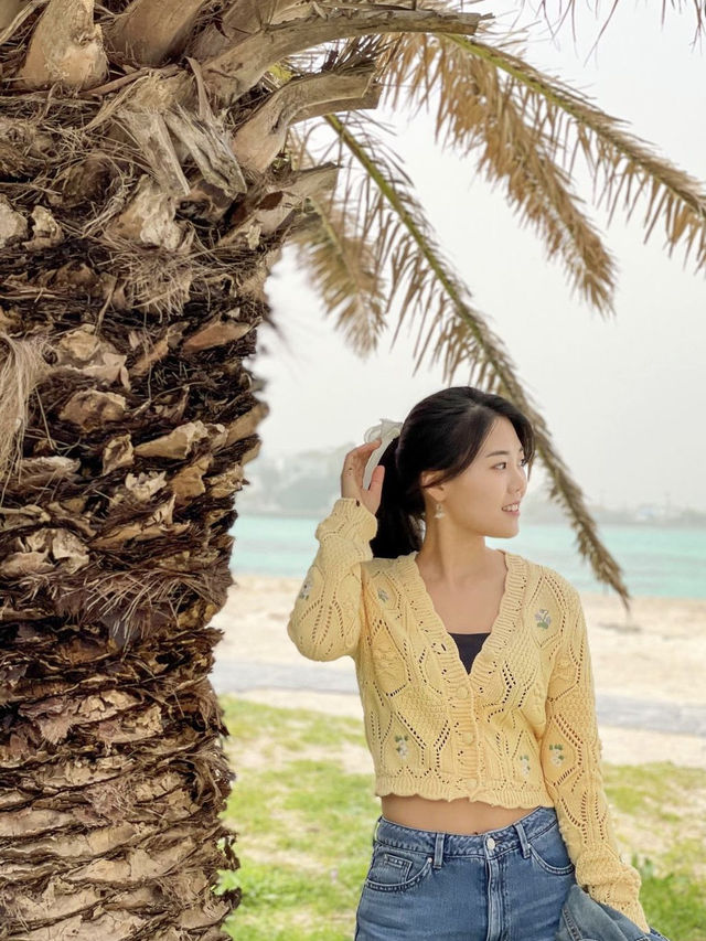 제주의 야자수를 느낄 수 있는 해변 🌴