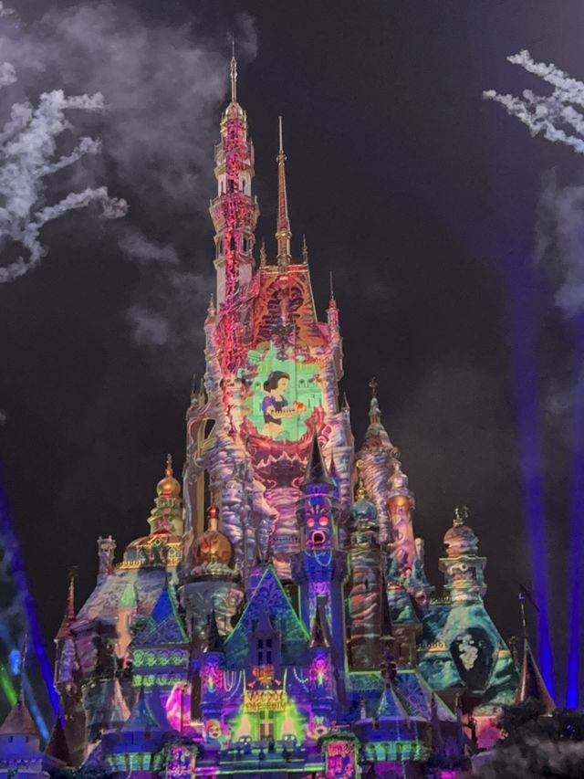香港ディズニーランド🇭🇰夜空をイルミネーション