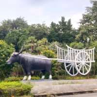 Thai Buffalo Village สุพรรณบุรี
