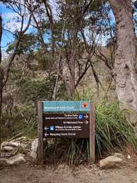 Wentworth Falls พิกัด เที่ยวน้ำตก ซิดนีย์ 