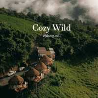Cozy Wild