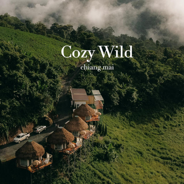 Cozy Wild Cozy Wild