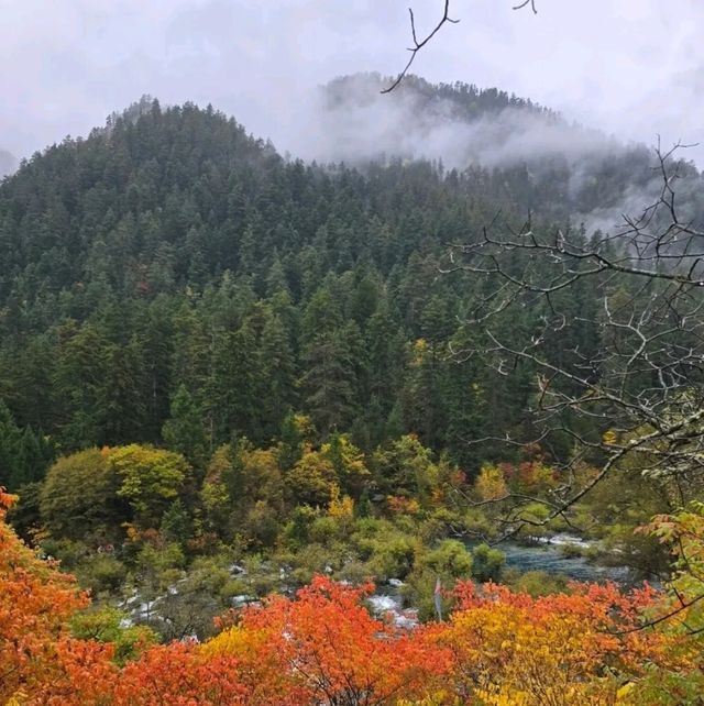 ไปเที่ยวจิ่วจ้ายโกวที่จีนกัน 🍂🏞