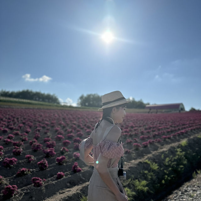 那時7月還沒有盛開的富田農場~~~👭🏻🪻🌹🌻🌸🍦