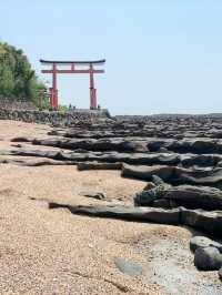 【宮崎　青島】