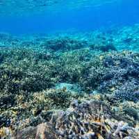 Dive into the Wonders of Gili Air