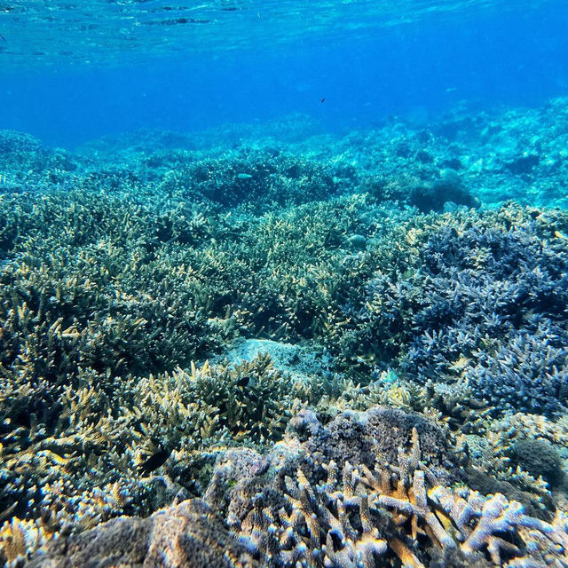 Dive into the Wonders of Gili Air